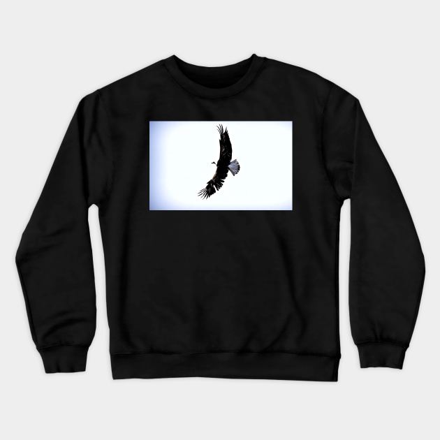 Bald Eagle wingspan Crewneck Sweatshirt by bradyclarke